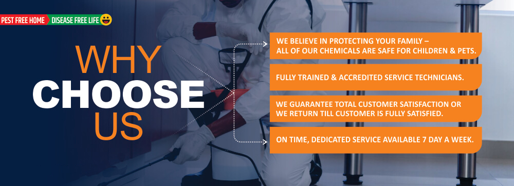 pest-control-service-why-choose-us